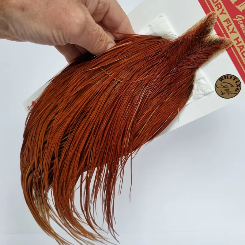 Whiting Gold Grade Rooster Cape in Natural Brown A Red Game-5
